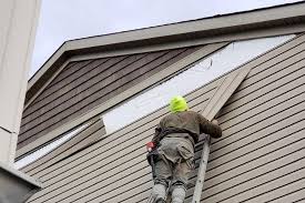 Best Custom Trim and Detailing for Siding  in Los Fresnos, TX